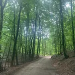 Feriehus Kaszubska Osada Z Balia *