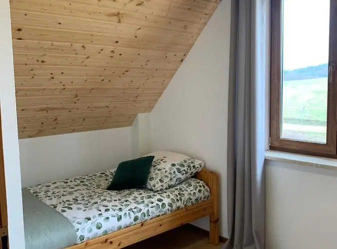 Semesterbostad Kaszubska Osada Z Balia Tuchomie