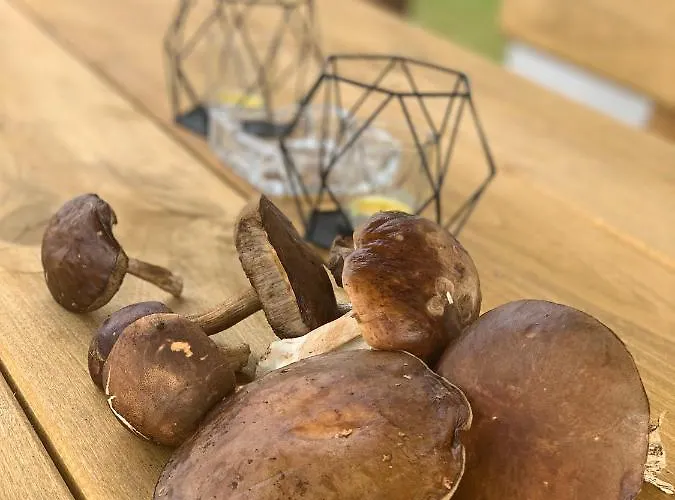 Ferienhaus Kaszubska Osada Z Balia Tuchomie