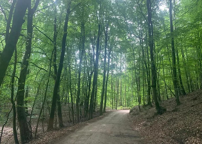 Ferienhaus Kaszubska Osada Z Balia *